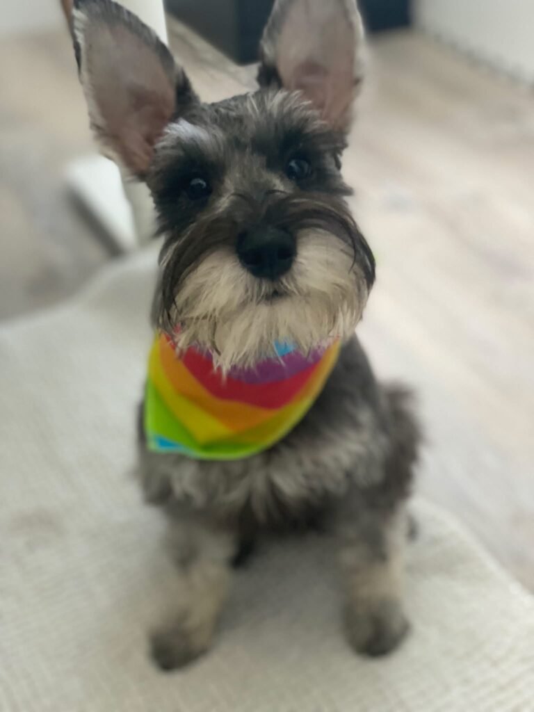 Tonka